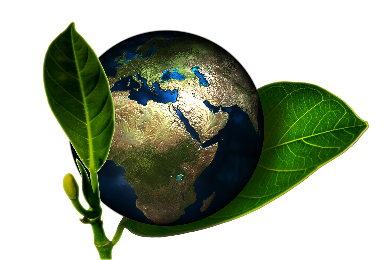protection de l'environnement